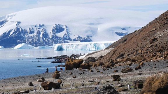 Excursions | Antarpply Expeditions - Explore Antarctica on board the ...